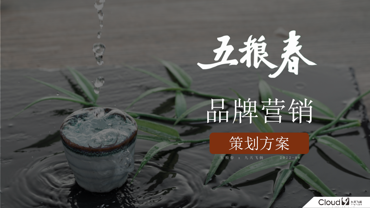 五粮春品牌营销策划方案