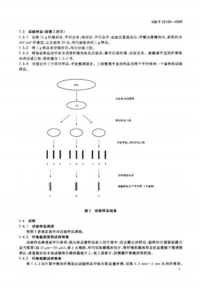 GB/T 22100-2008 标准预览