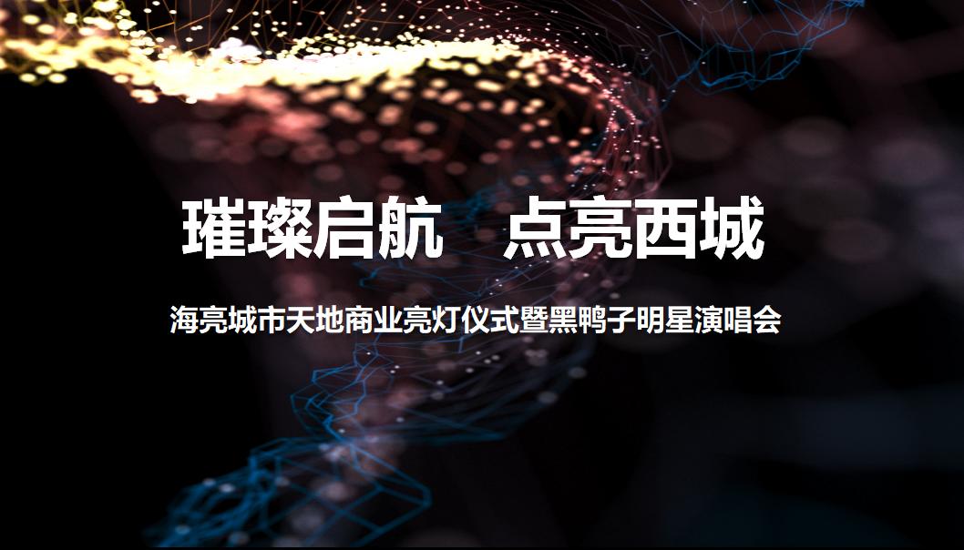 海亮城市天地商业亮灯仪式暨黑鸭子明星演唱会方案