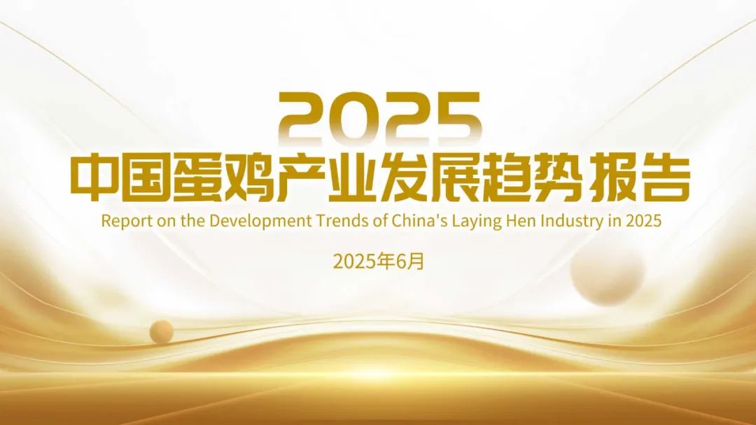 光华博思特：2025年中国蛋鸡产业发展趋势报告海报