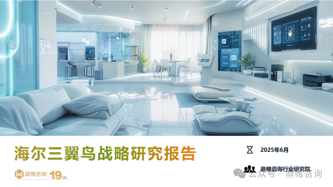 鼎帷咨询：2025年海尔三翼鸟战略研究报告海报