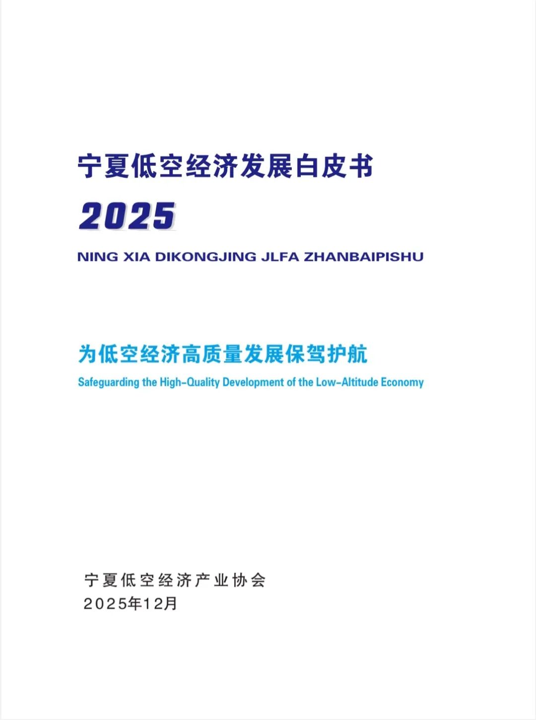 宁夏低空经济产业协会：宁夏低空经济发展白皮书（2025）海报
