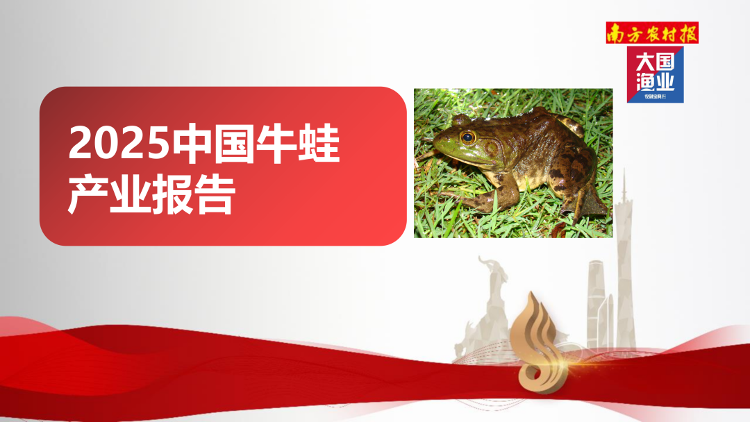 大国渔业：2025年中国牛蛙产业报告海报