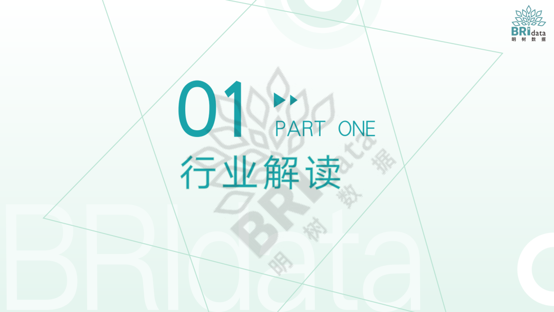 明树数据：停车场综合解决方案_第2页