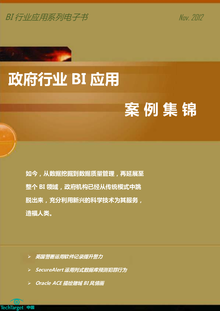 TechTarget：政府行业BI应用案例集锦