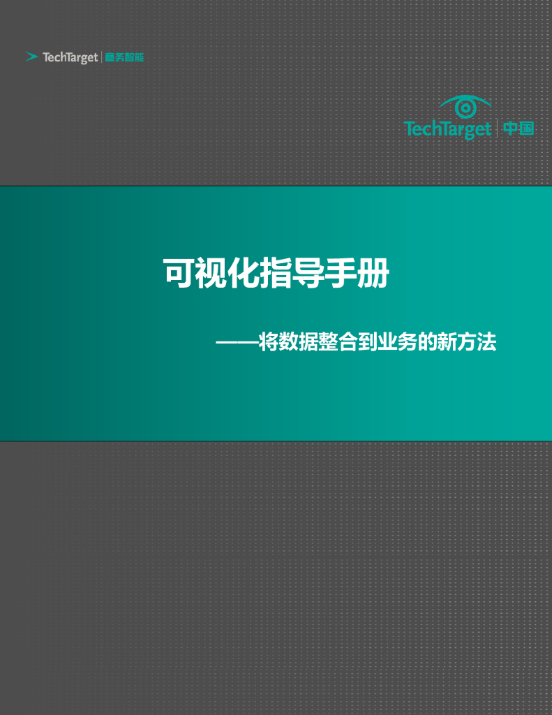 TechTarget：可视化指导手册：将数据整合到业务的新方法