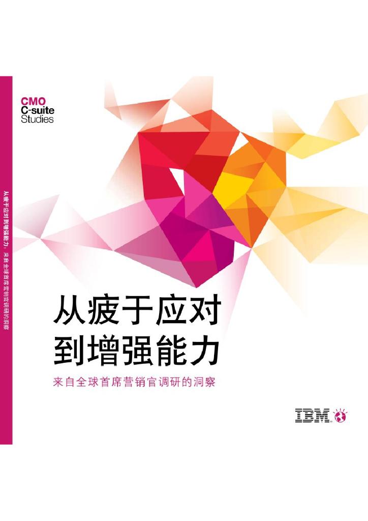 顶级企业市场调研报告-IBM全球CMO调研报告中文版