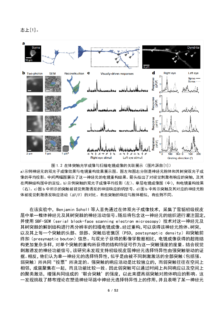 智源人工智能研究院：2020年人工智能的认知神经基础白皮书_第8页