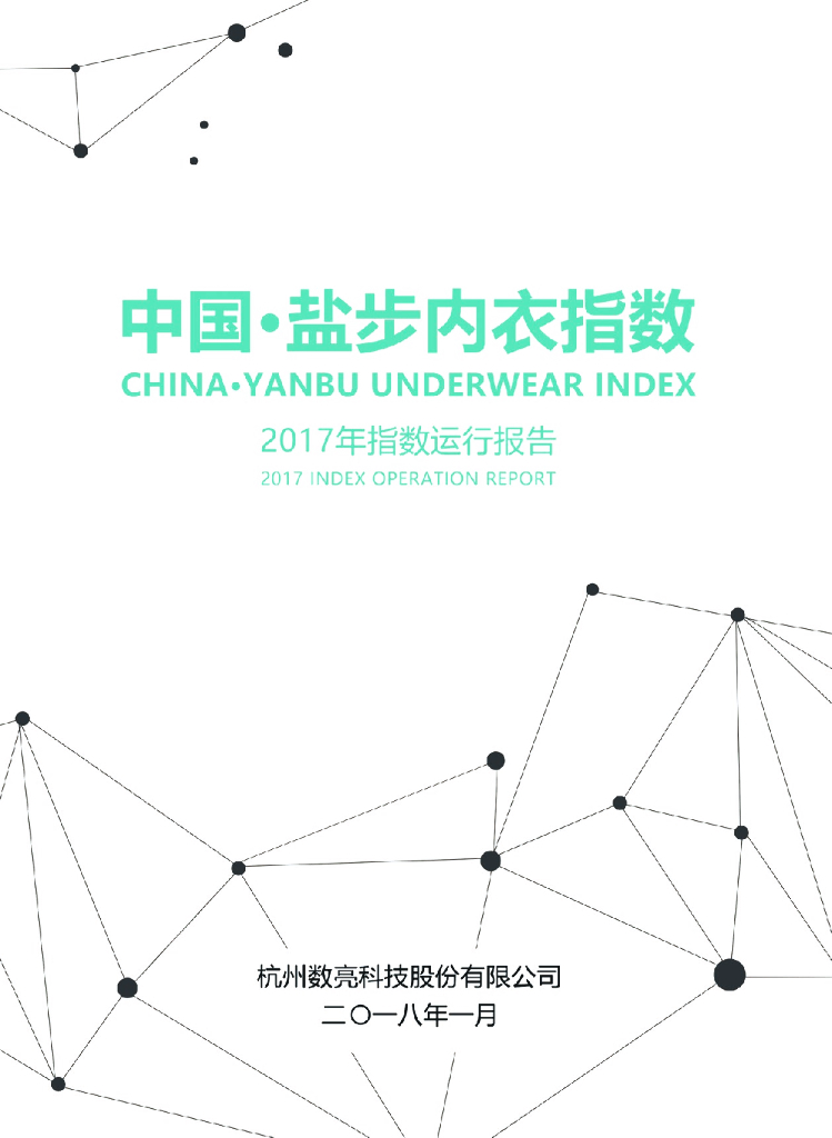 数亮科技：2017年中国·盐步内衣指数运行报告