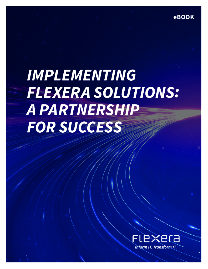 Flexra：实施Flexra解决方案：成功的伙伴关系（英文版）