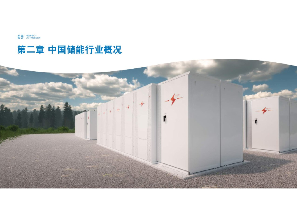 德国莱茵TÜV：碳中和愿景下2021年储能白皮书_第9页