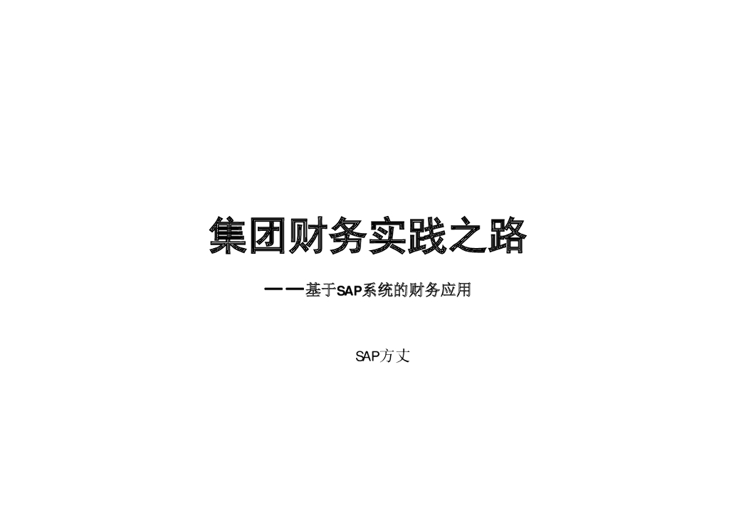 SAP财务管理SAP方丈版