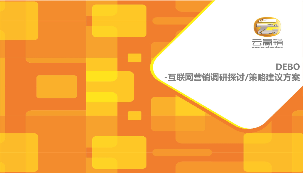 麦肯锡恩建材DEBO网络营销调研及策略方案