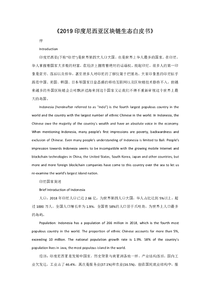 2019印度尼西亚区块链生态白皮书