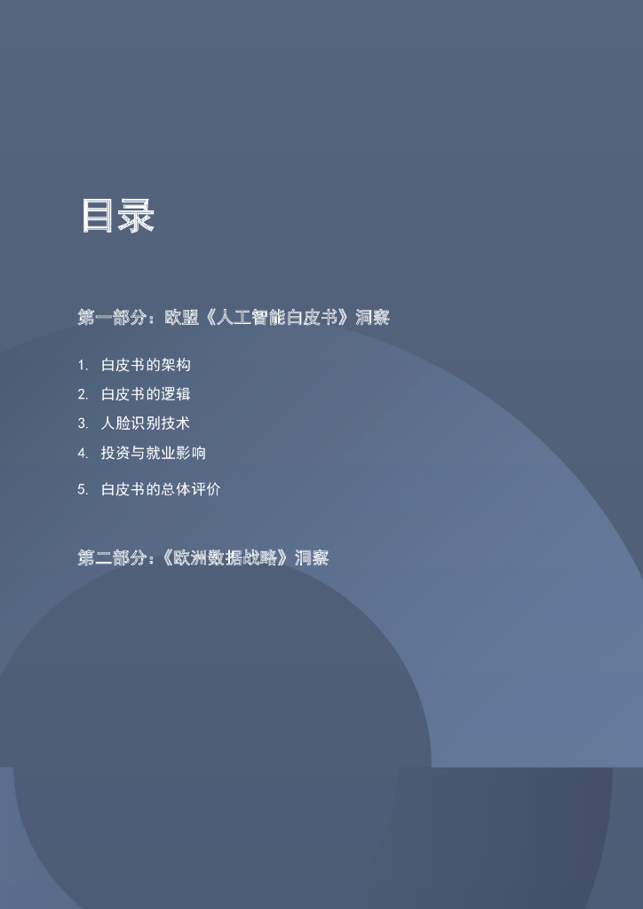 商汤智研院：《欧盟人工智能白皮书》洞察_第6页