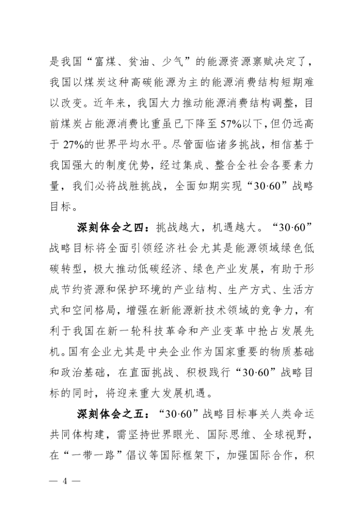 中国能建：践行碳达峰、碳中和“30·60”战略目标行动方案（白皮书）_第8页