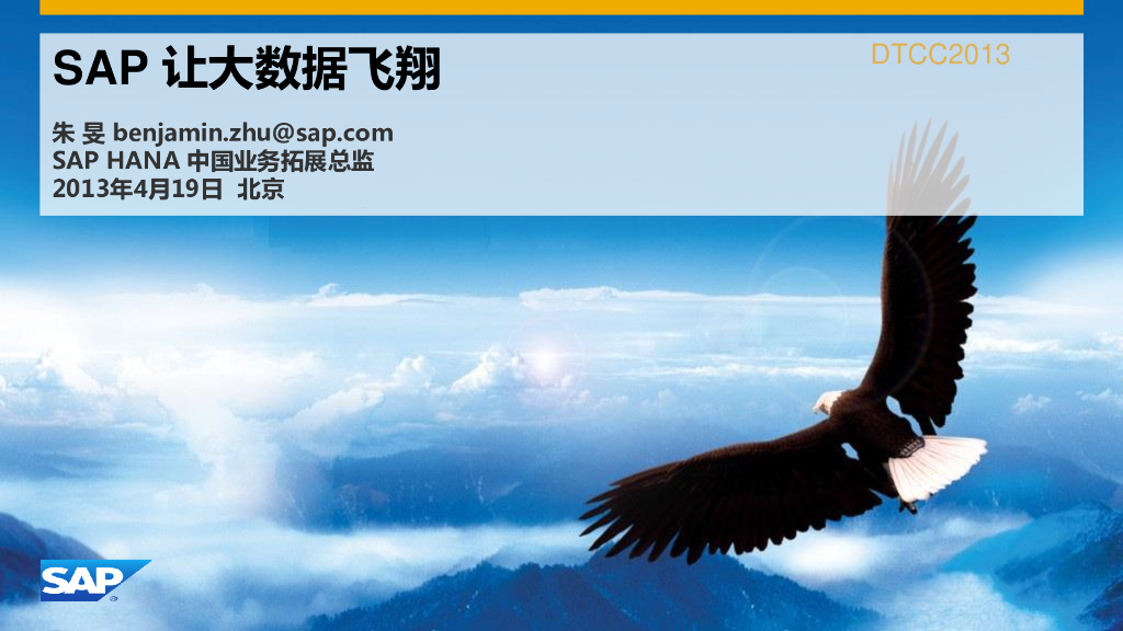 SAP大数据平台解决方案