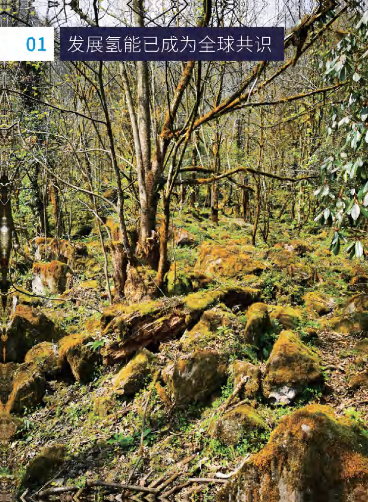 腾讯研究院&中国投资协会：零碳中国·氢能蓝皮书——以实现碳中和为目的的未来能源_第8页