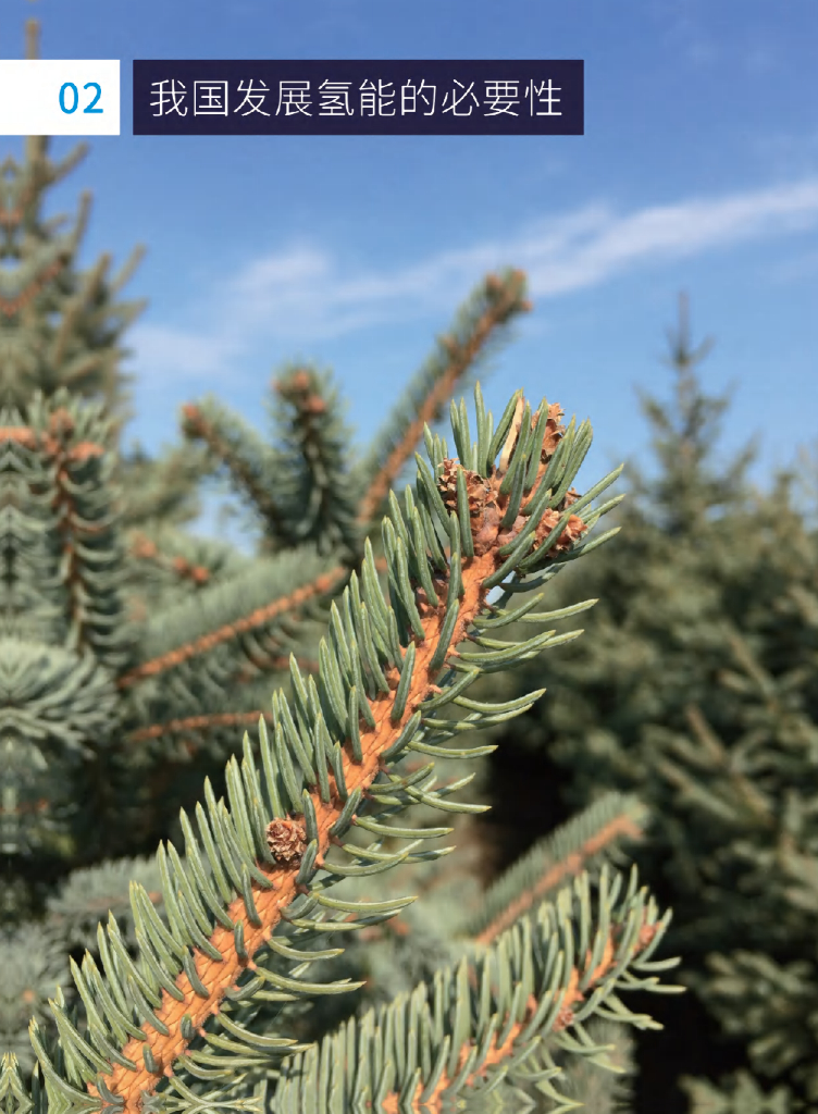 腾讯研究院&中国投资协会：零碳中国·氢能蓝皮书——以实现碳中和为目的的未来能源_第10页