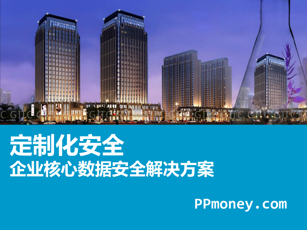 PPmoney：定制化安全——企业核心数据安全方案