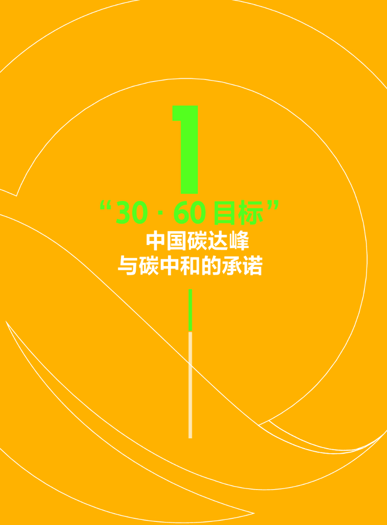 财新智库：由碳达峰向碳中和：中国低碳发展行业展望年度白皮书（2021）_第6页