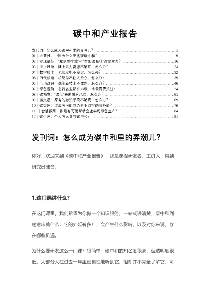 陆音：<em>碳中和</em>产业报告 海报