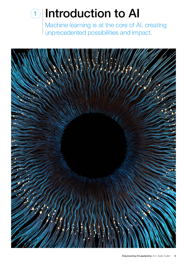 世界经济论坛：赋予人工智能领导力（英文版）_第6页