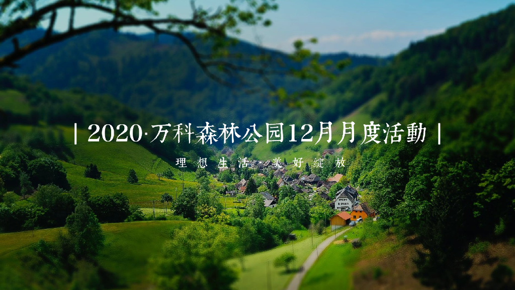 2020万科地产项目月度森林系列造势活动策划方案