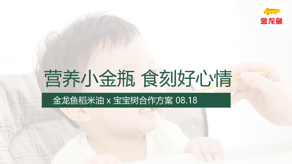 宝宝树&金龙鱼米饭伴侣合作方案