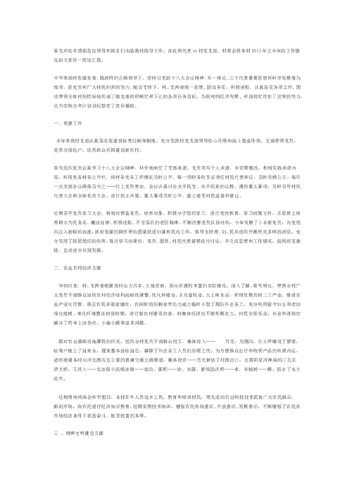 村支书年中总结1