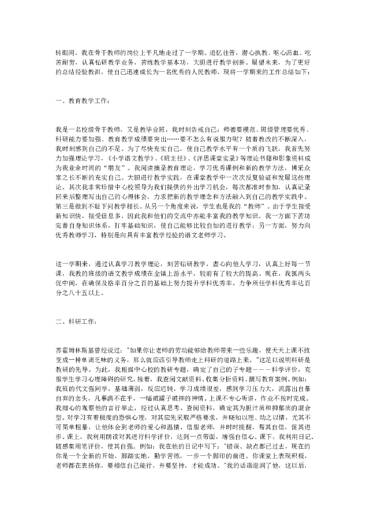 骨干教师年度工作总结