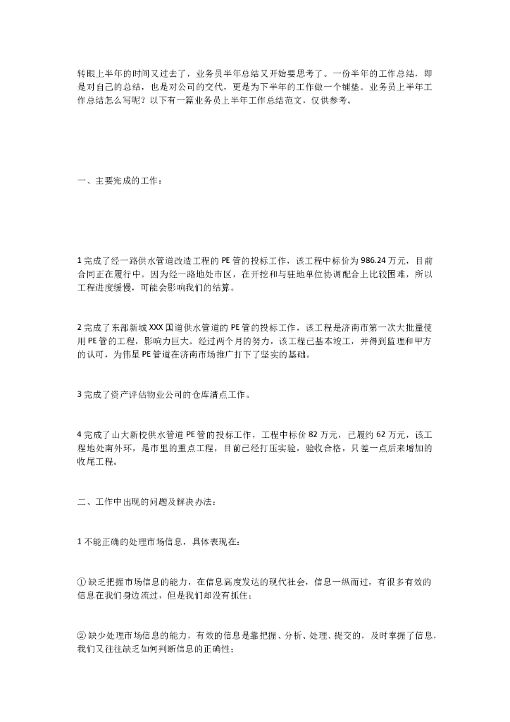 业务员半年总结1