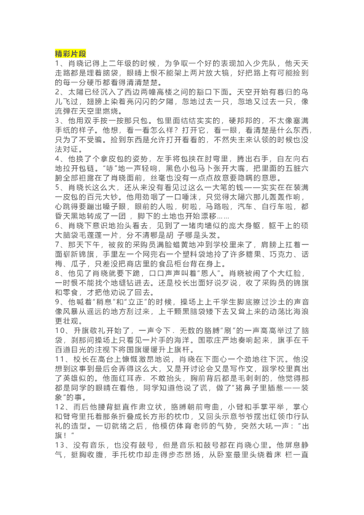 07《今天我是升旗手》精彩片段+读后感