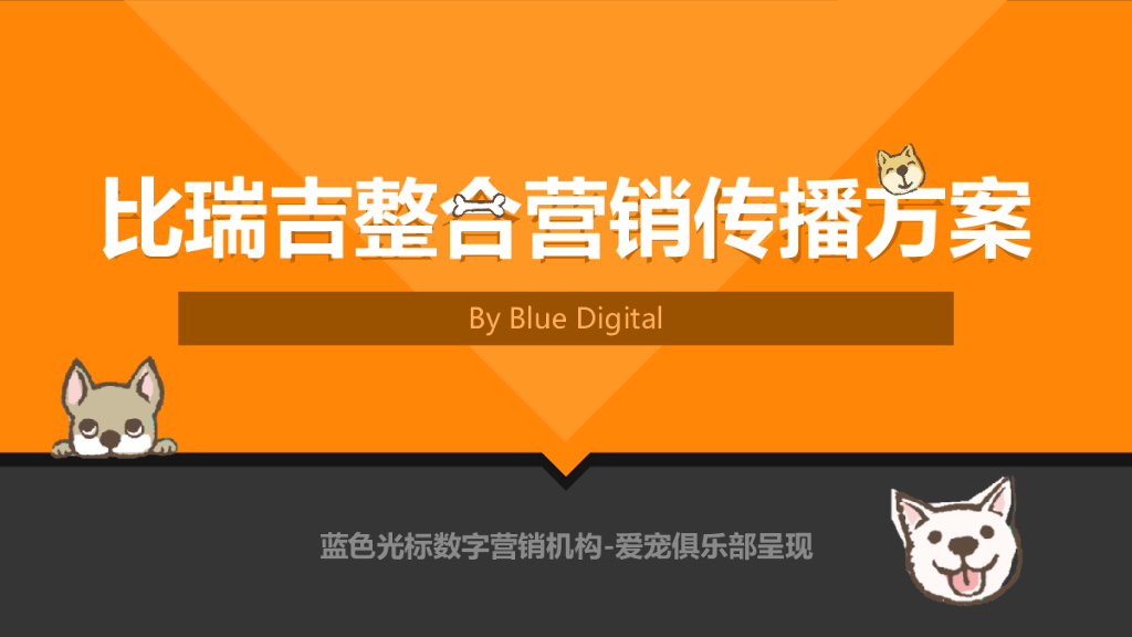 比瑞吉整合营销传播方案