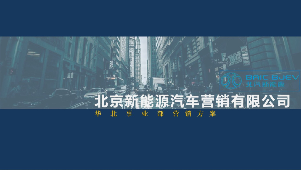 北汽新能源年度销售策略方案