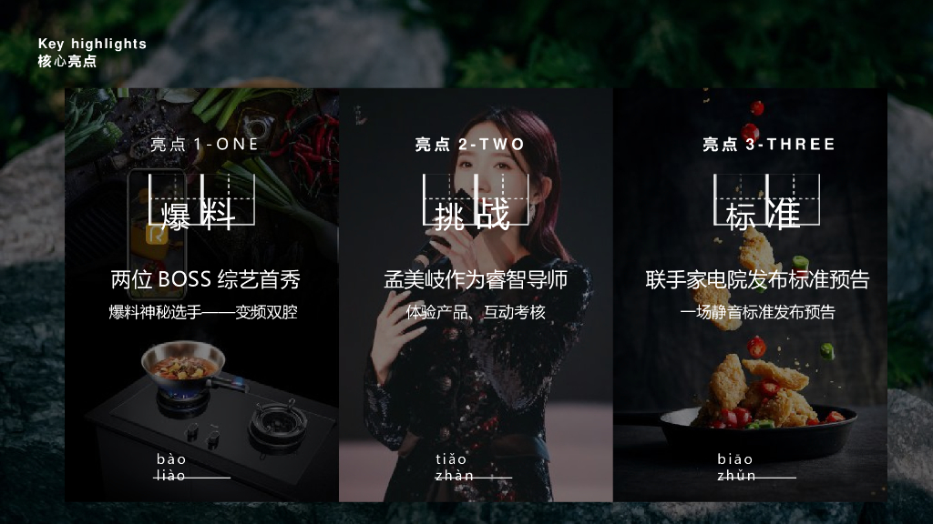 老板变频双腔烟灶套装京东上市整合营销方案_第9页