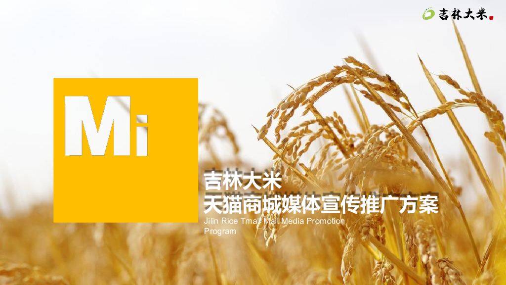 2019年吉林大米天猫商城宣传推广项目方案