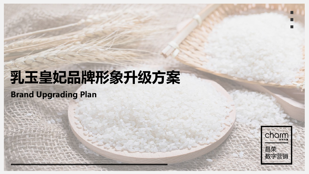 乳玉皇妃电商推广提案