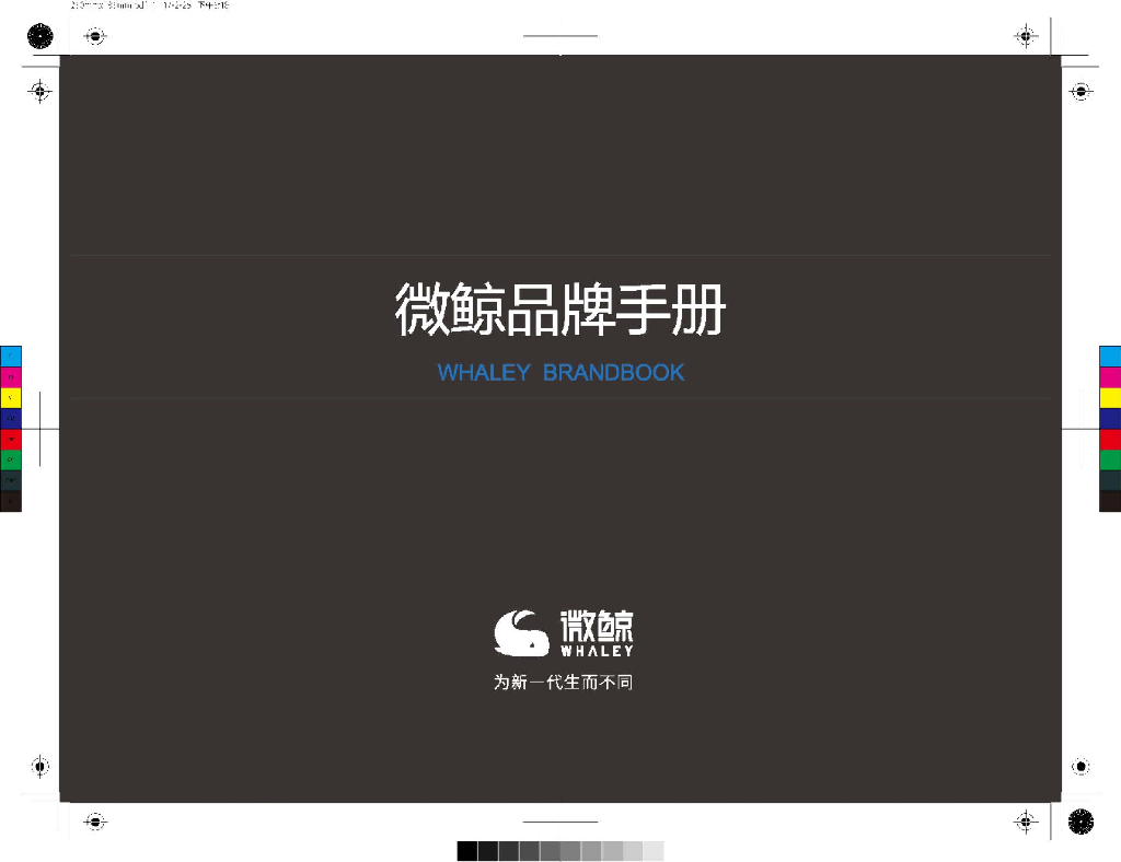 微鲸电视品牌手册：为新一代生而不同