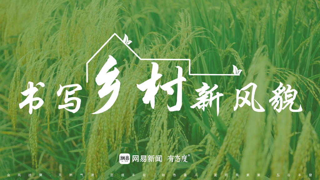 书写乡村新风貌乡村振兴策划方向