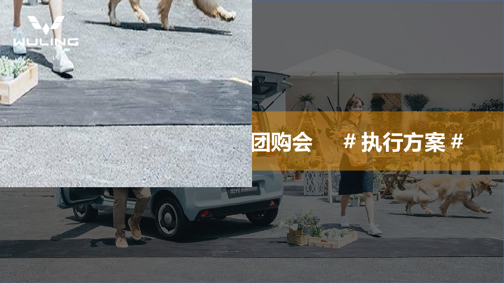 2021五菱汽车月度厂家线上直销团购会直播执行方案