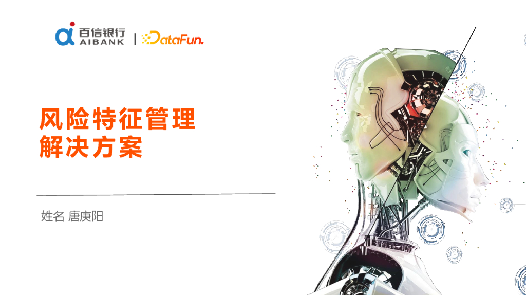 银行业风险特征快速开发与部署的解决方案