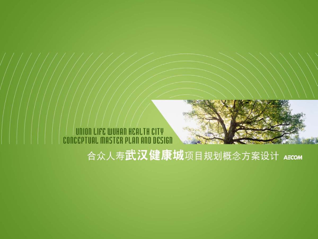 健康谷-养老项目概念规划方案