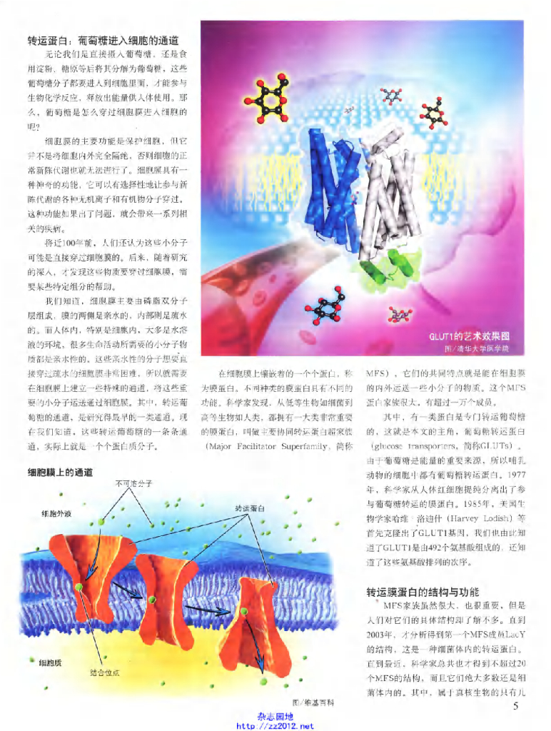 科学世界-2014-08_第7页