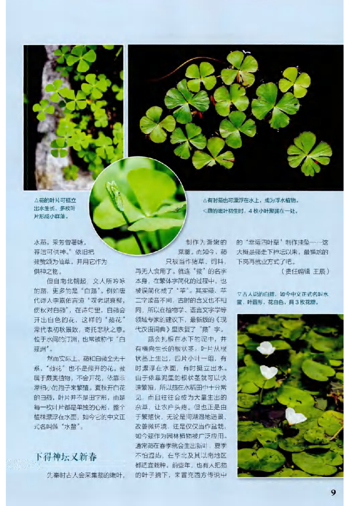 博物-2020-03_第10页