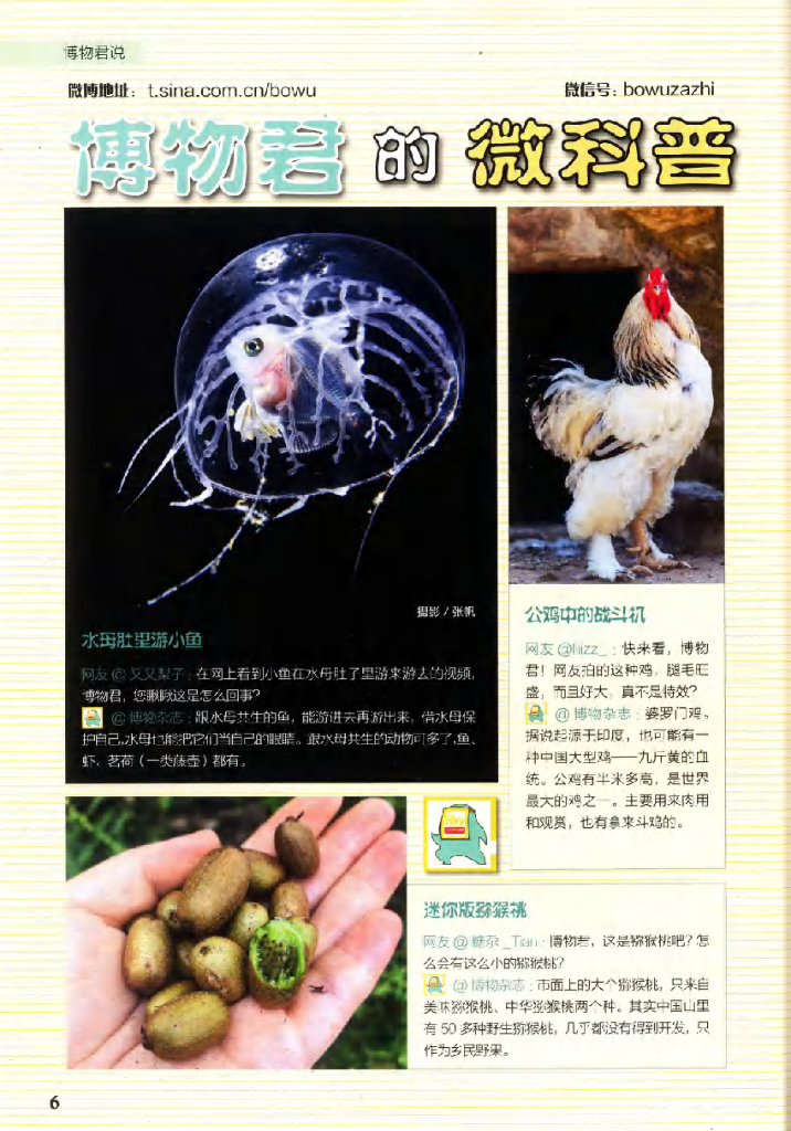 博物-2020-06_第8页