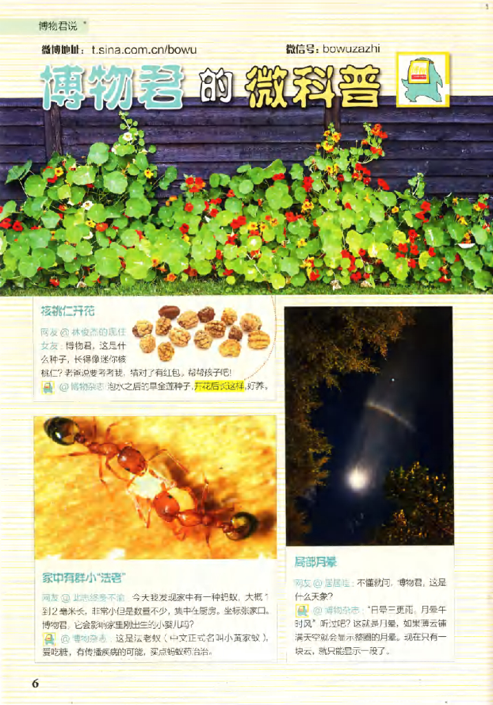 博物-2020-05_第8页
