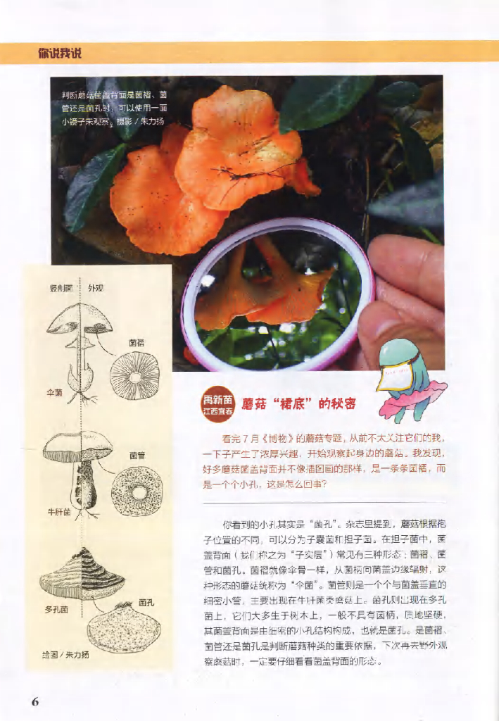 博物-2020-12_第8页