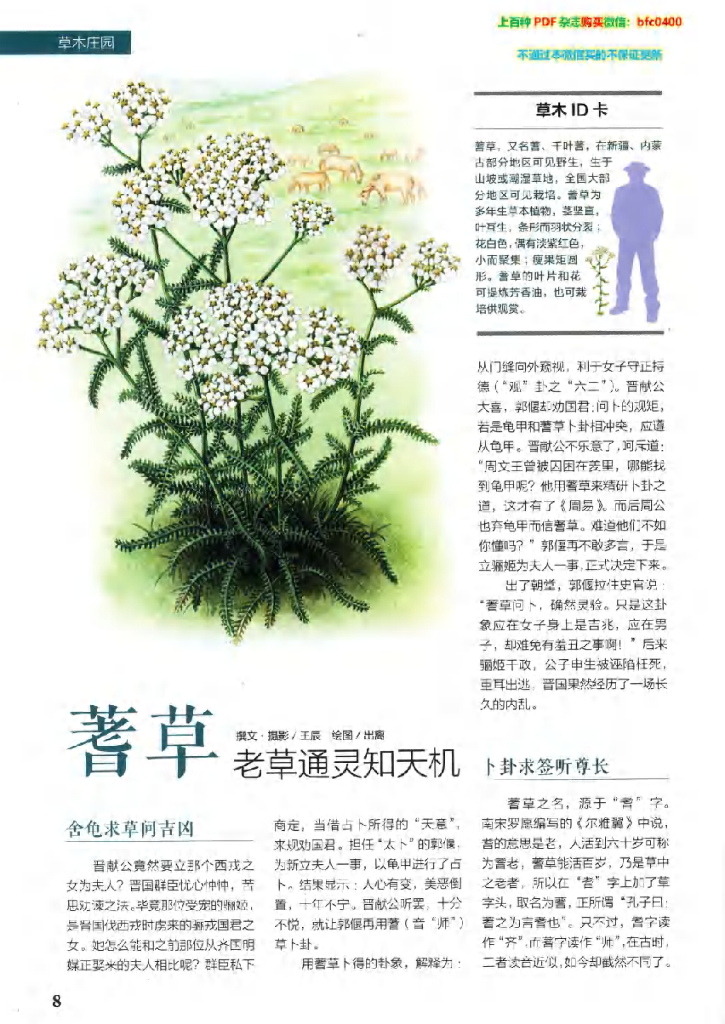 博物-2020-04_第10页