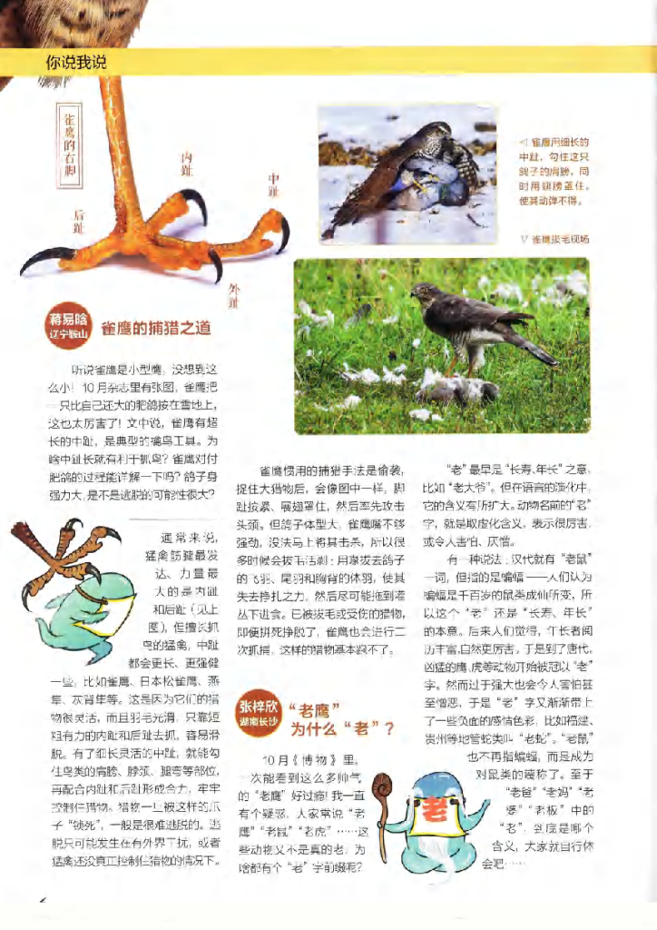 博物-2019-11_第8页